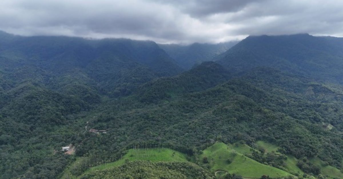 Photo of Tierra Fresca