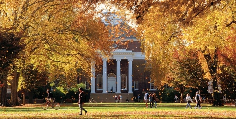 fall UD